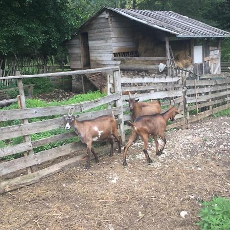 Eco Camp Dzogaska Vrela Pljevlja Exterior foto