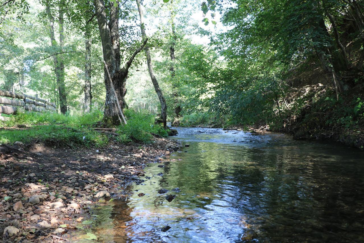 Eco Camp Dzogaska Vrela Pljevlja Exterior foto