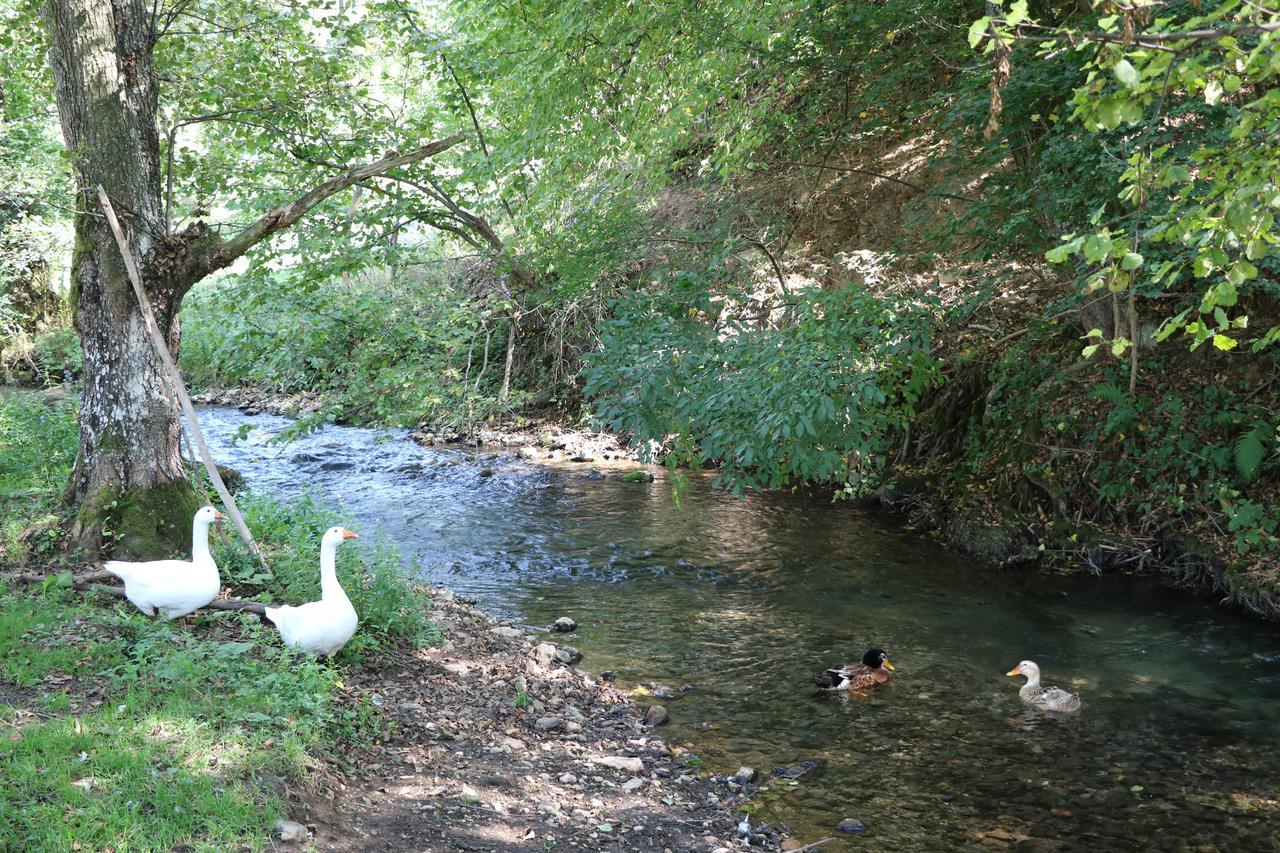 Eco Camp Dzogaska Vrela Pljevlja Exterior foto