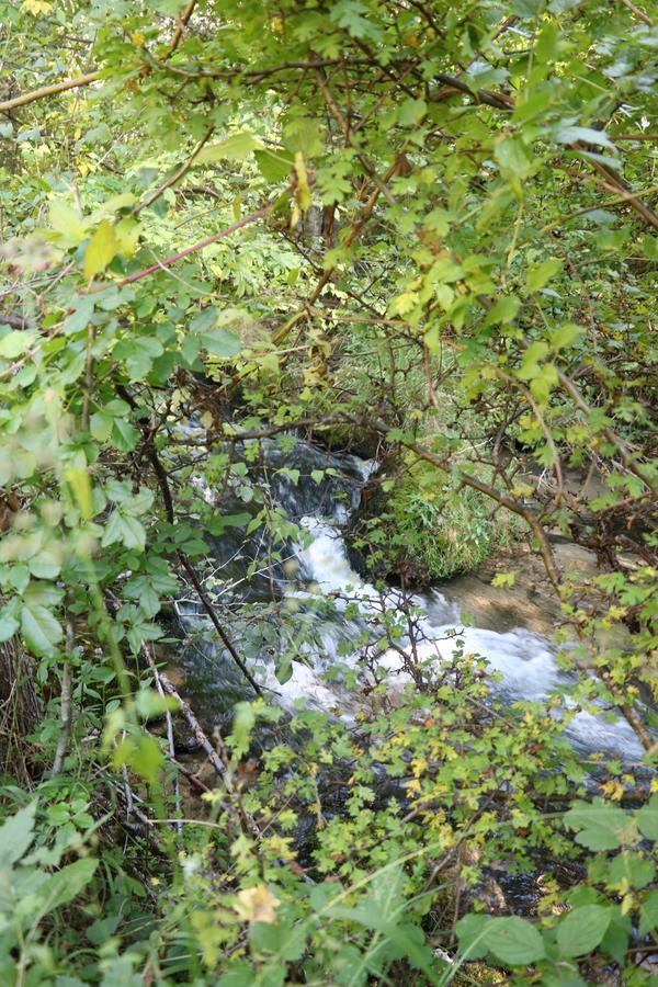 Eco Camp Dzogaska Vrela Pljevlja Exterior foto
