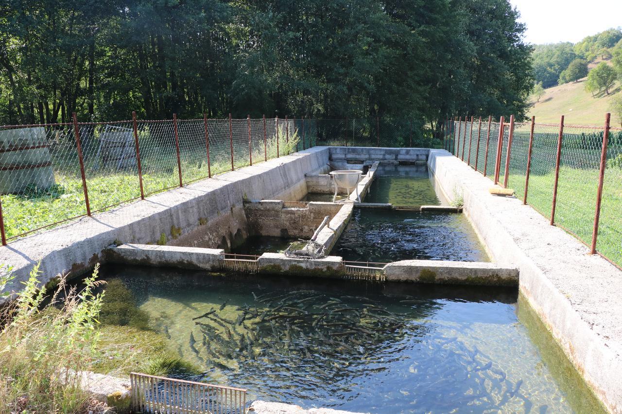 Eco Camp Dzogaska Vrela Pljevlja Exterior foto