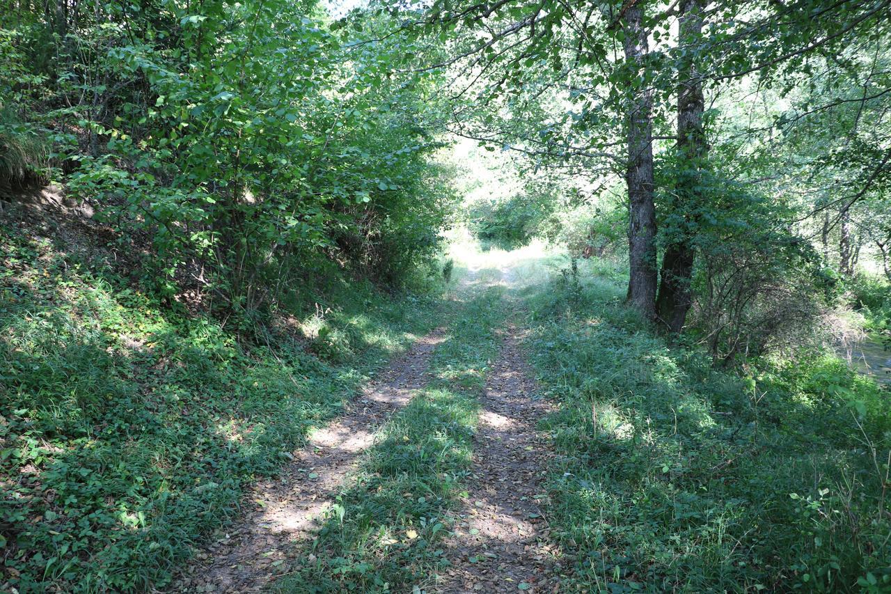 Eco Camp Dzogaska Vrela Pljevlja Exterior foto
