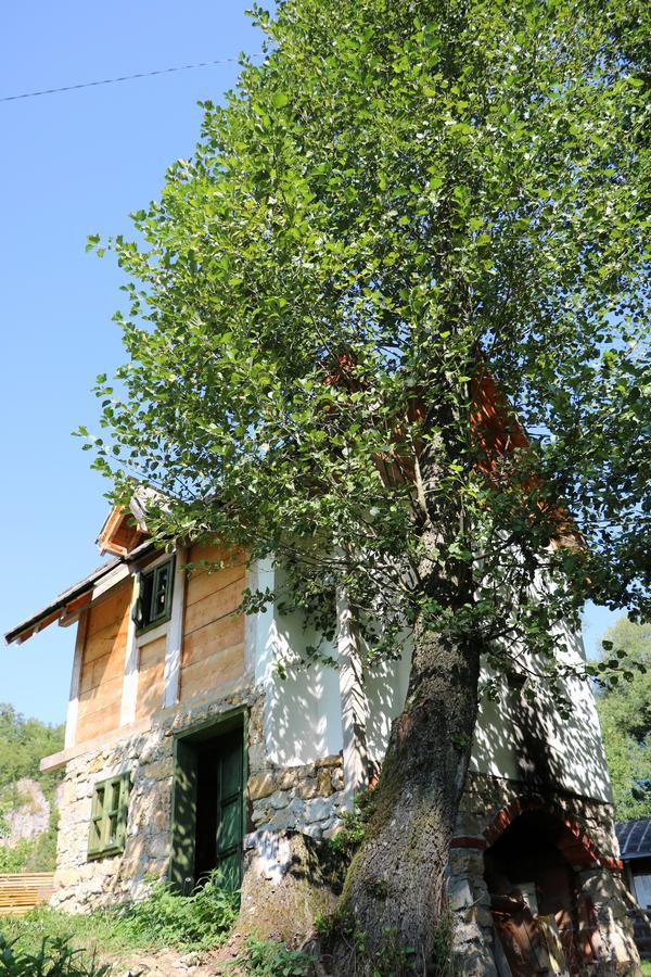 Eco Camp Dzogaska Vrela Pljevlja Exterior foto