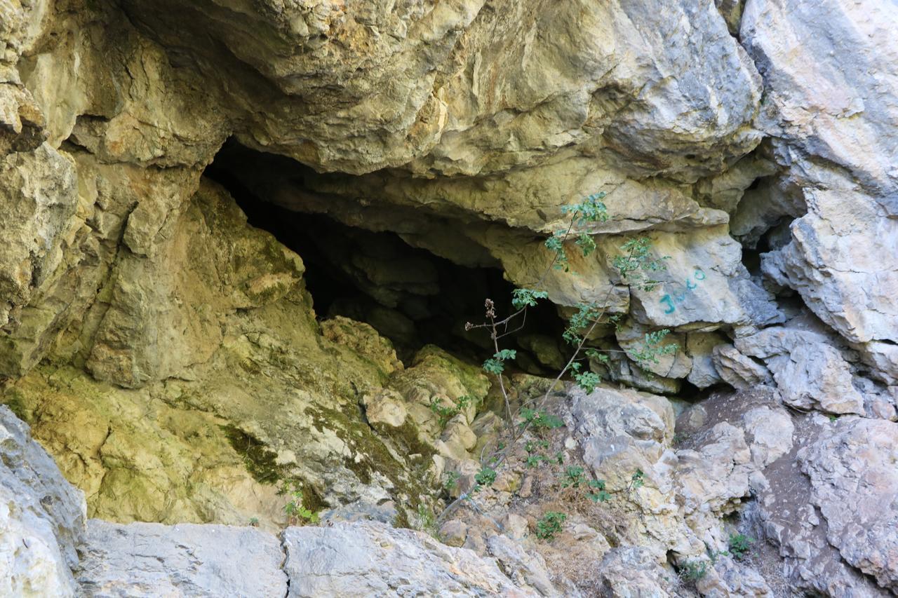 Eco Camp Dzogaska Vrela Pljevlja Exterior foto