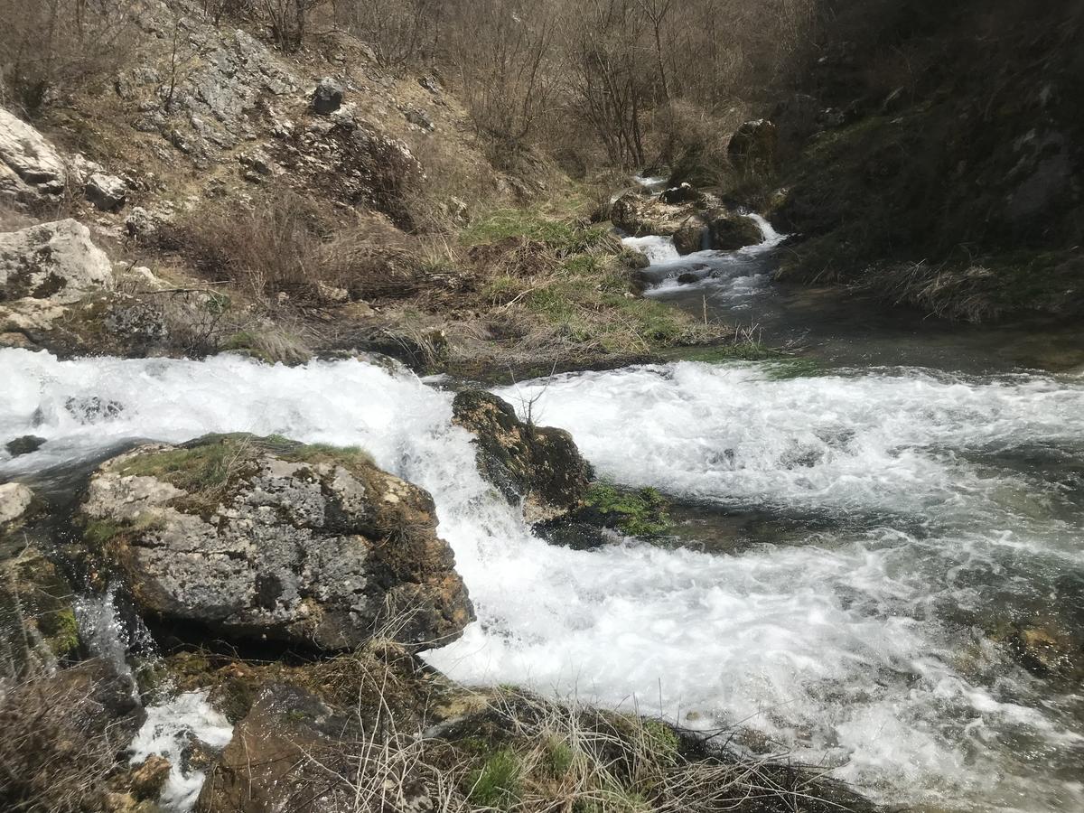 Eco Camp Dzogaska Vrela Pljevlja Exterior foto