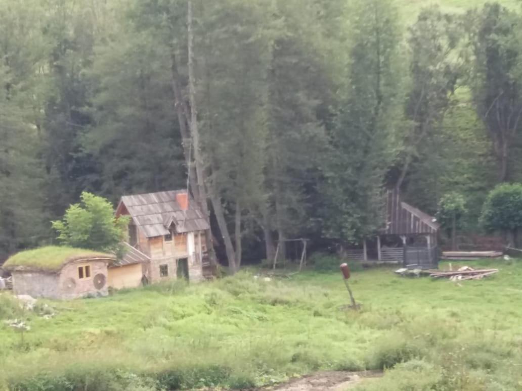Eco Camp Dzogaska Vrela Pljevlja Exterior foto