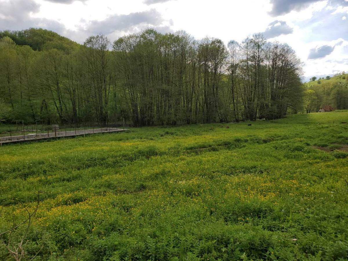 Eco Camp Dzogaska Vrela Pljevlja Exterior foto